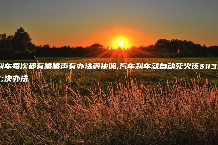 松刹车每次都有喀喀声有办法解决吗,汽车刹车就自动死火该解决办法
