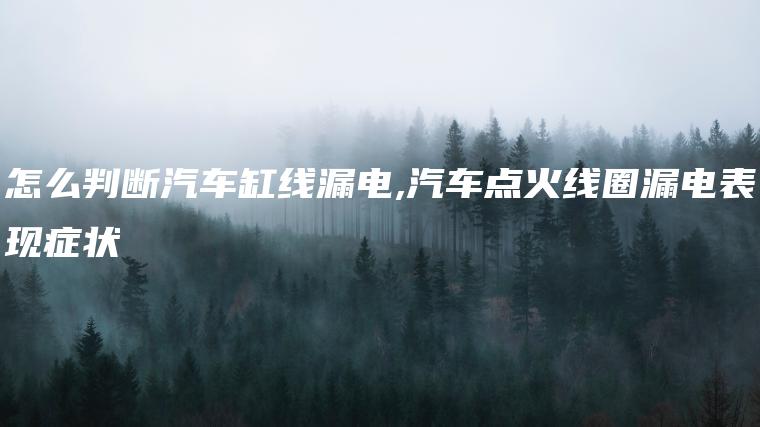 怎么判断汽车缸线漏电,汽车点火线圈漏电表现症状