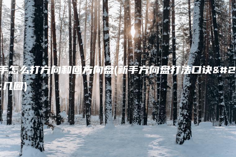 新手怎么打方向和回方向盘(新手方向盘打法口诀打几圈)