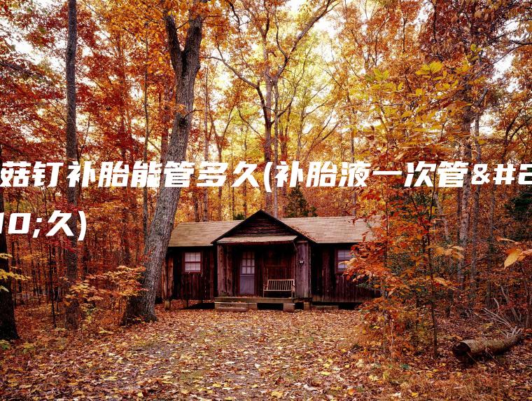 蘑菇钉补胎能管多久(补胎液一次管多久)