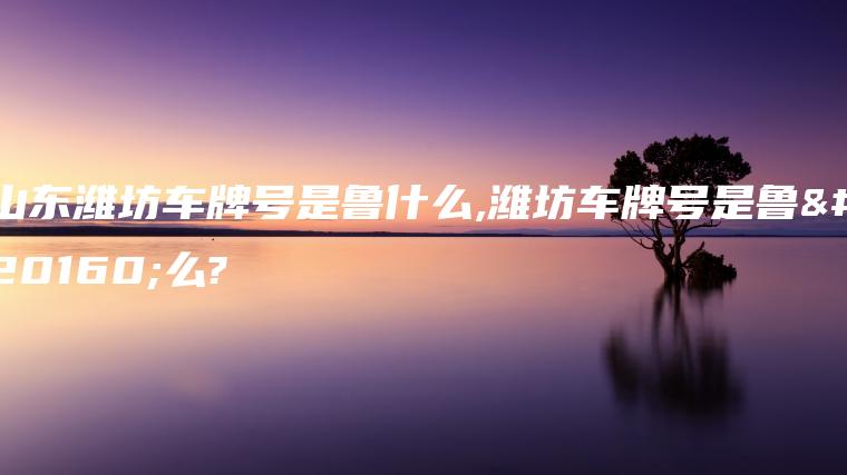 山东潍坊车牌号是鲁什么,潍坊车牌号是鲁什么?
