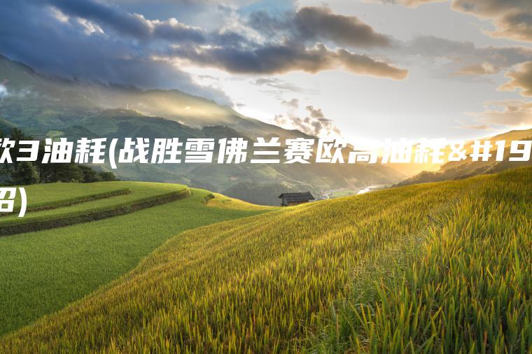 赛欧3油耗(战胜雪佛兰赛欧高油耗三招)