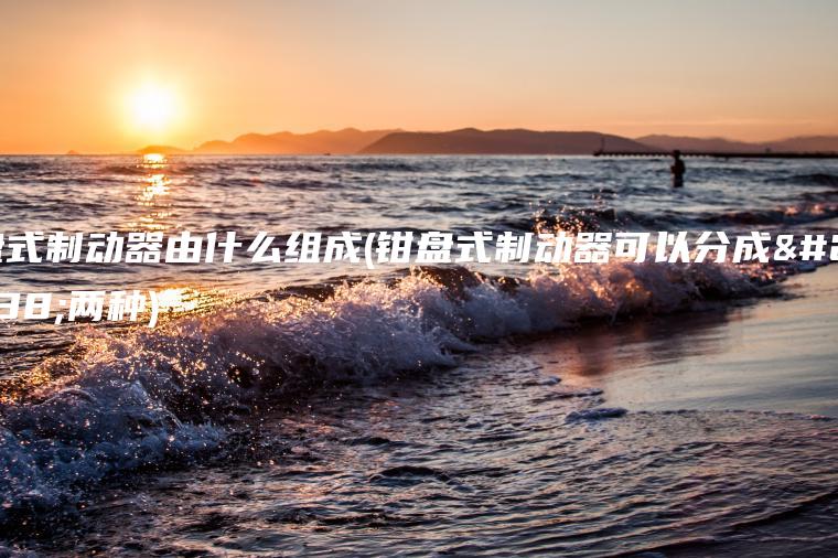 盘式制动器由什么组成(钳盘式制动器可以分成哪两种)