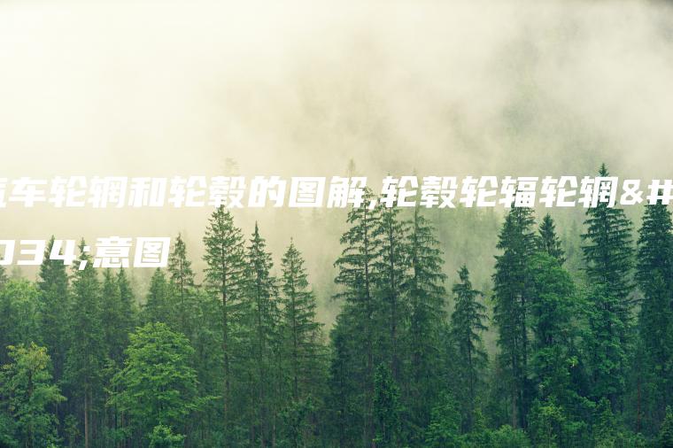 汽车轮辋和轮毂的图解,轮毂轮辐轮辋示意图