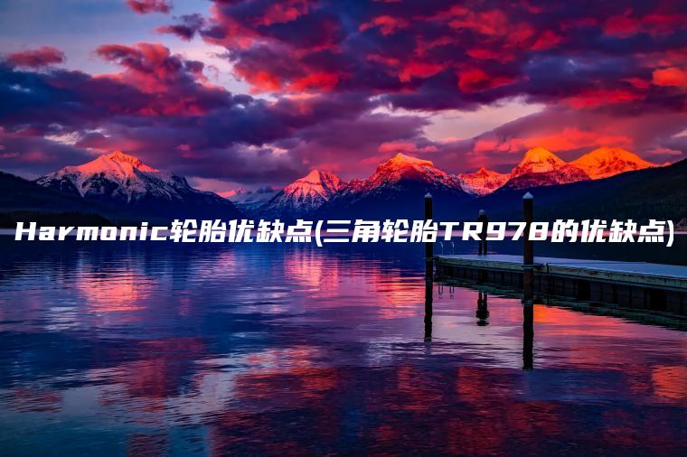 Harmonic轮胎优缺点(三角轮胎TR978的优缺点)