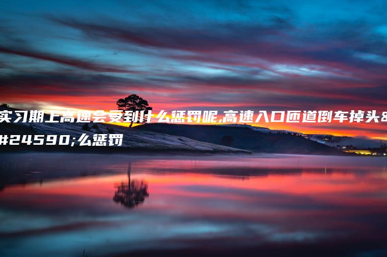 实习期上高速会受到什么惩罚呢,高速入口匝道倒车掉头怎么惩罚