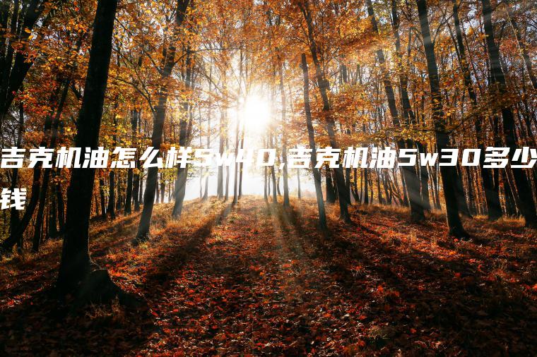 吉克机油怎么样5w40,吉克机油5w30多少钱