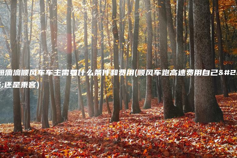 注册滴滴顺风车车主需要什么条件和费用(顺风车跑高速费用自己出还是乘客)