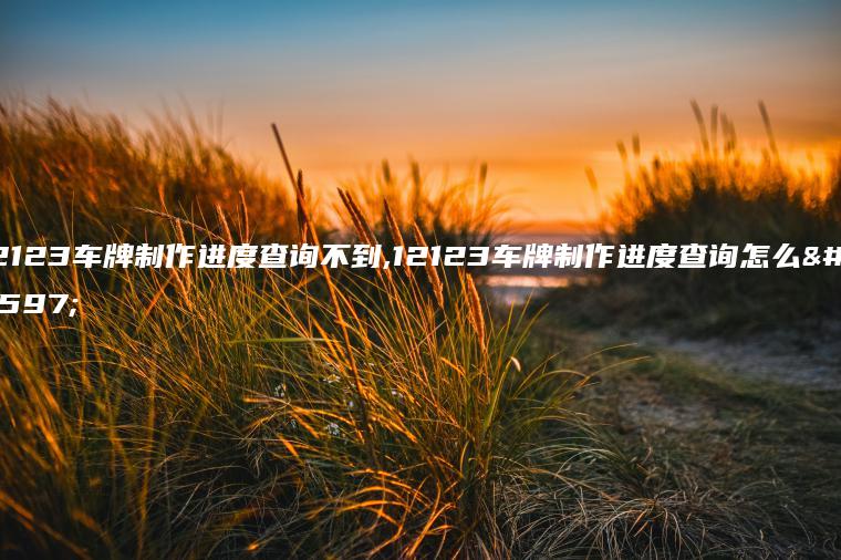12123车牌制作进度查询不到,12123车牌制作进度查询怎么查