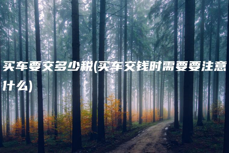 买车要交多少税(买车交钱时需要要注意什么)
