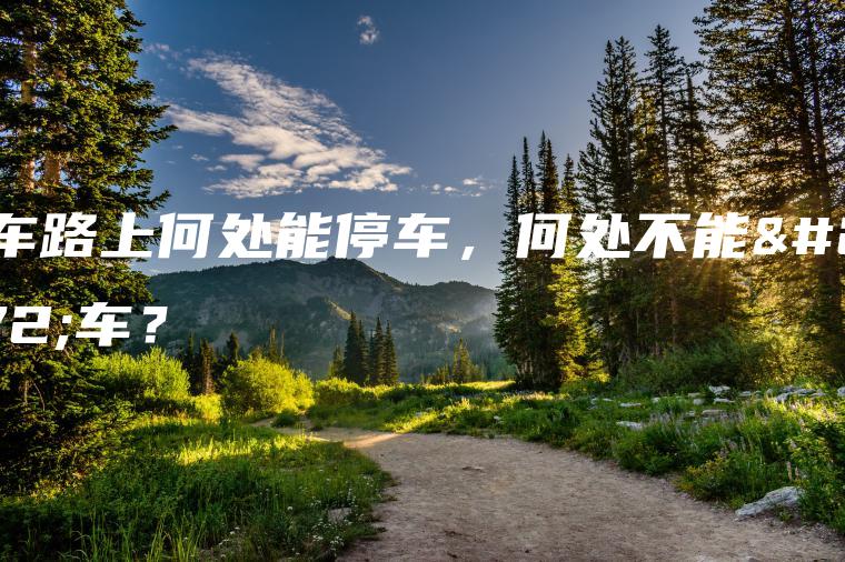 开车路上何处能停车，何处不能停车？