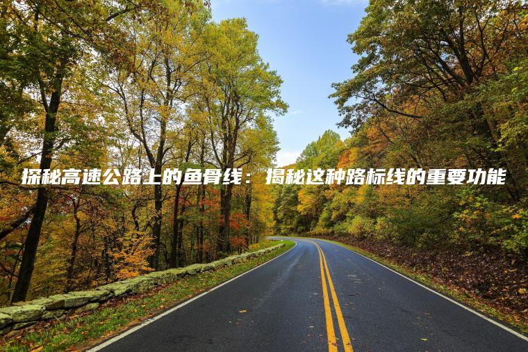 探秘高速公路上的鱼骨线：揭秘这种路标线的重要功能