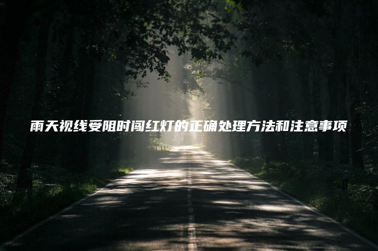 雨天视线受阻时闯红灯的正确处理方法和注意事项