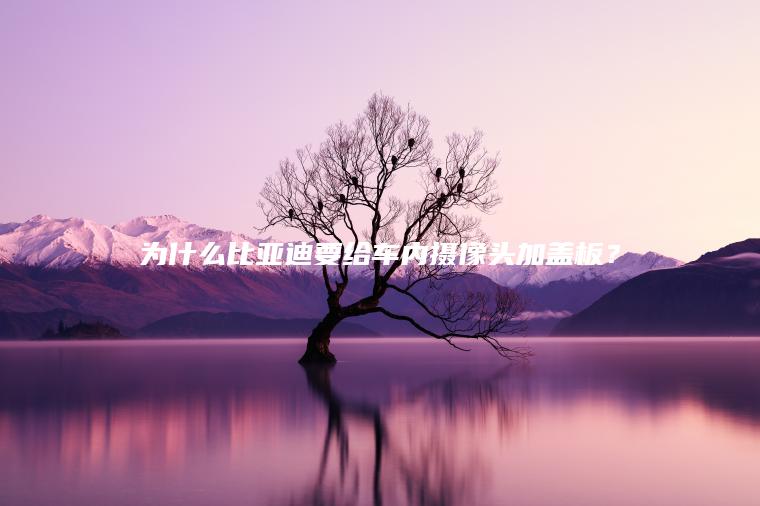 为什么比亚迪要给车内摄像头加盖板？