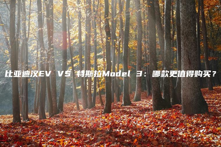 比亚迪汉EV VS 特斯拉Model 3：哪款更值得购买？