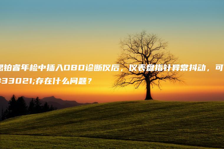 思铂睿年检中插入OBD诊断仪后，仪表盘指针异常抖动，可能存在什么问题？
