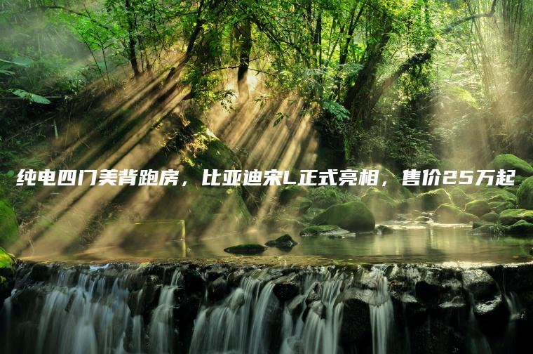 纯电四门美背跑房，比亚迪宋L正式亮相，售价25万起