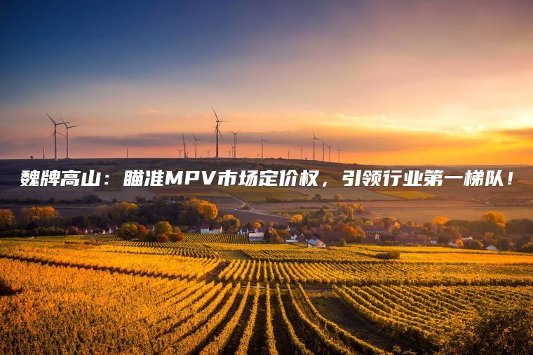 魏牌高山：瞄准MPV市场定价权，引领行业第一梯队！