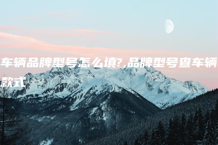 车辆品牌型号怎么填?,品牌型号查车辆款式