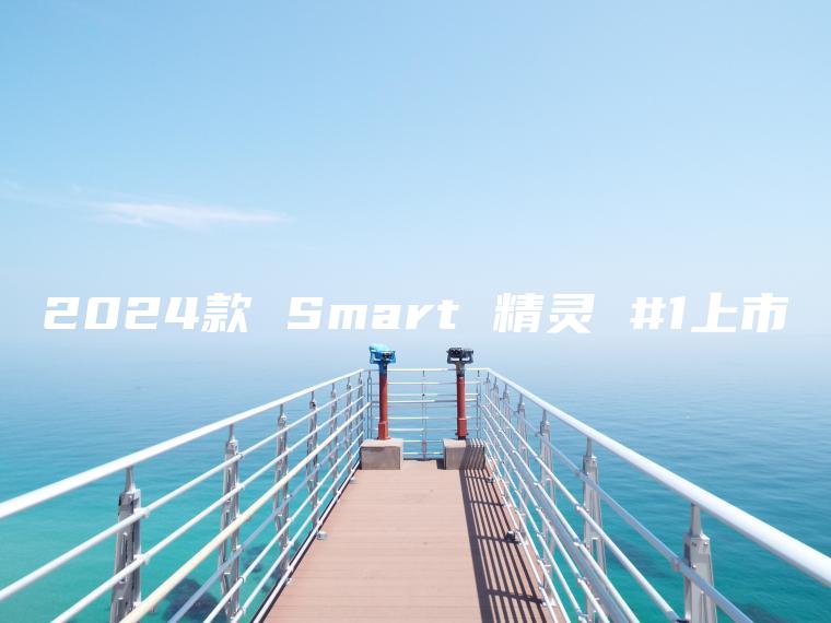 2024款 Smart 精灵 #1上市