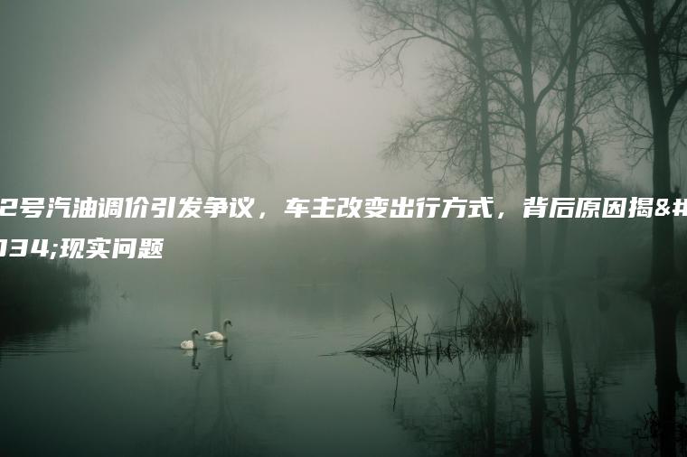 92号汽油调价引发争议，车主改变出行方式，背后原因揭示现实问题