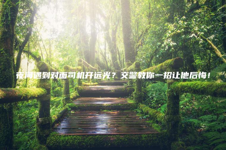 夜间遇到对面司机开远光？交警教你一招让他后悔！