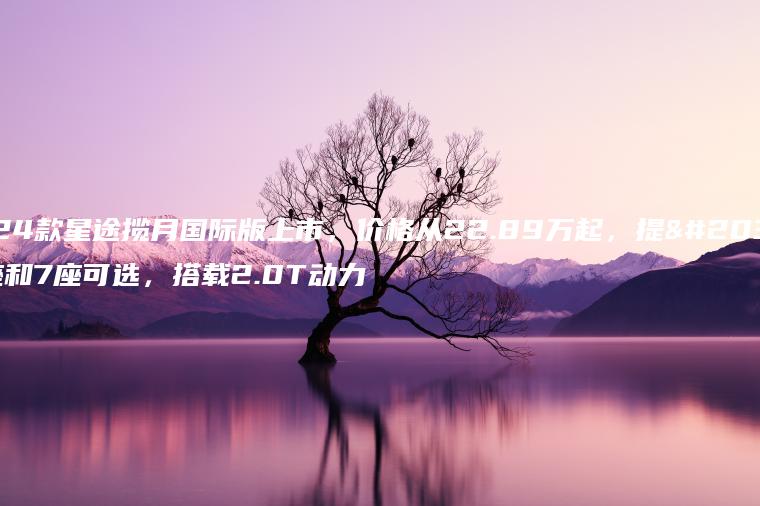 2024款星途揽月国际版上市，价格从22.89万起，提供6座和7座可选，搭载2.0T动力