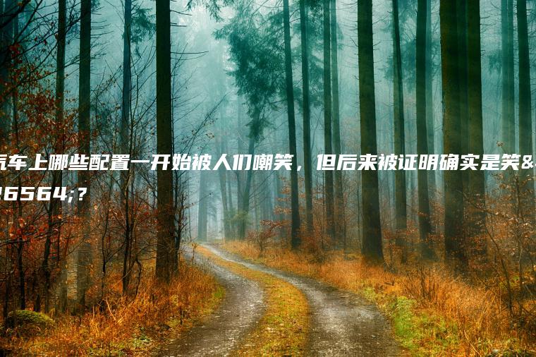 汽车上哪些配置一开始被人们嘲笑，但后来被证明确实是笑柄？