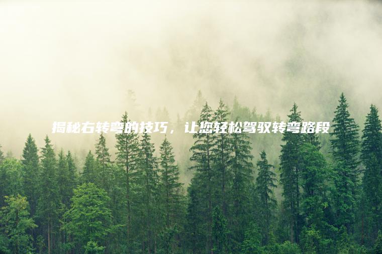 揭秘右转弯的技巧，让您轻松驾驭转弯路段