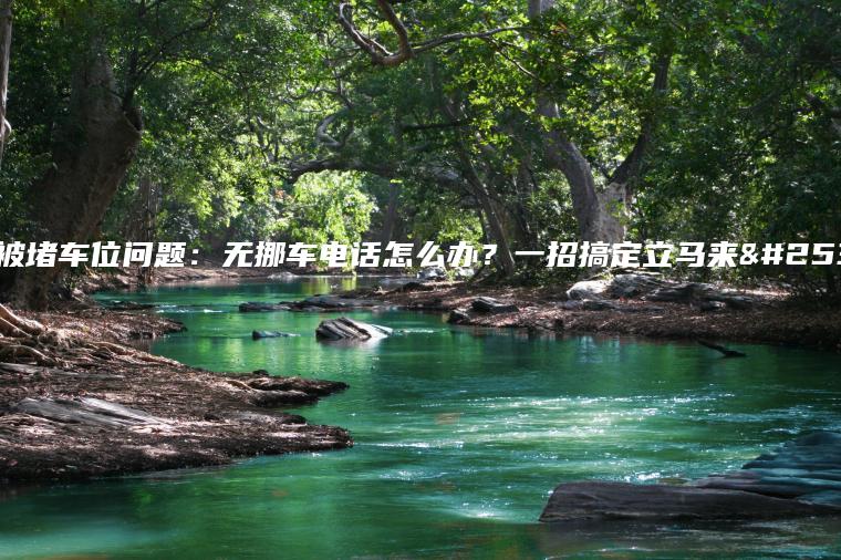 解决被堵车位问题：无挪车电话怎么办？一招搞定立马来挪车