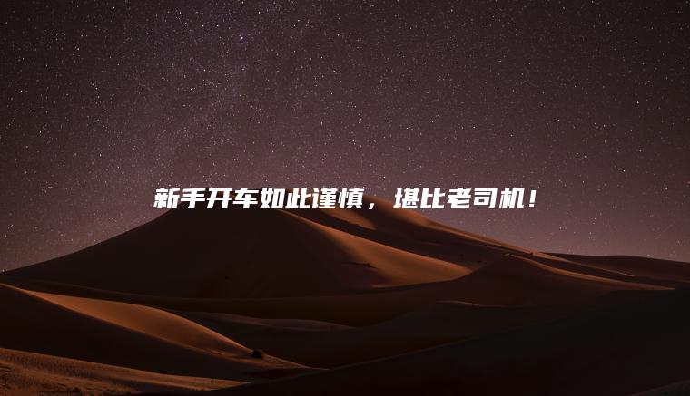 新手开车如此谨慎，堪比老司机！