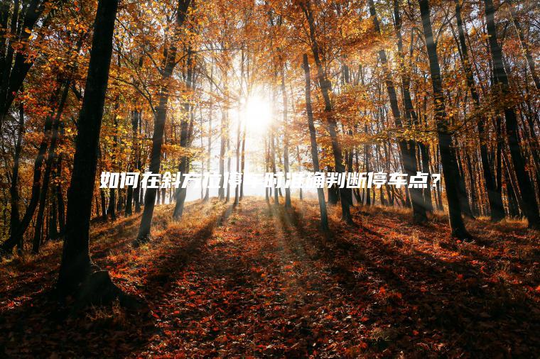 如何在斜方位停车时准确判断停车点？