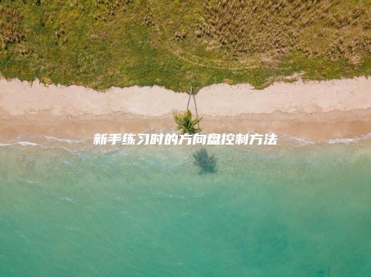 新手练习时的方向盘控制方法