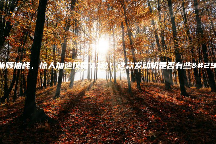动力兼顾油耗，惊人加速仅需7.1秒！这款发动机是否有些狂野？