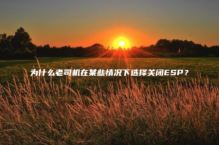 为什么老司机在某些情况下选择关闭ESP？