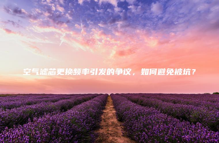 空气滤芯更换频率引发的争议，如何避免被坑？