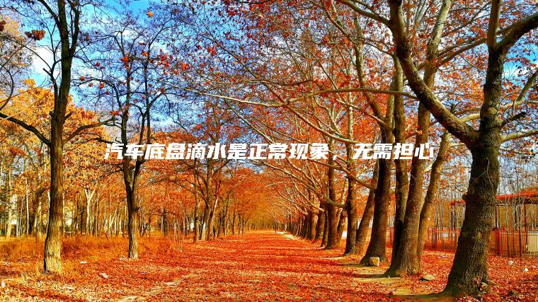 汽车底盘滴水是正常现象，无需担心