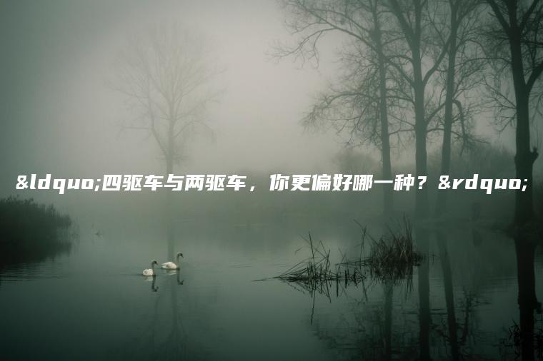 “四驱车与两驱车，你更偏好哪一种？”
