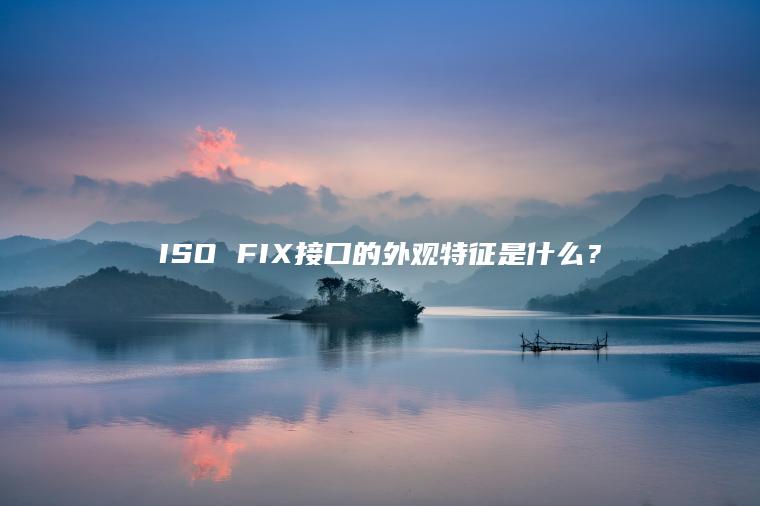 ISO FIX接口的外观特征是什么？