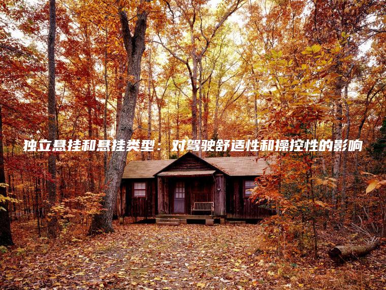 独立悬挂和悬挂类型：对驾驶舒适性和操控性的影响