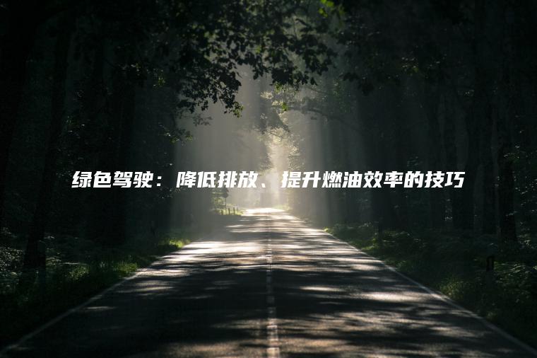 绿色驾驶：降低排放、提升燃油效率的技巧