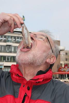 ​老人多吃鱼可预防中风又短命
